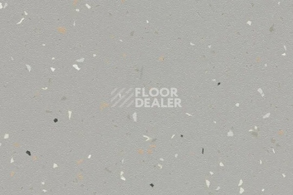 Линолеум FORBO SureStep STAR 176482 greige фото 1 | FLOORDEALER