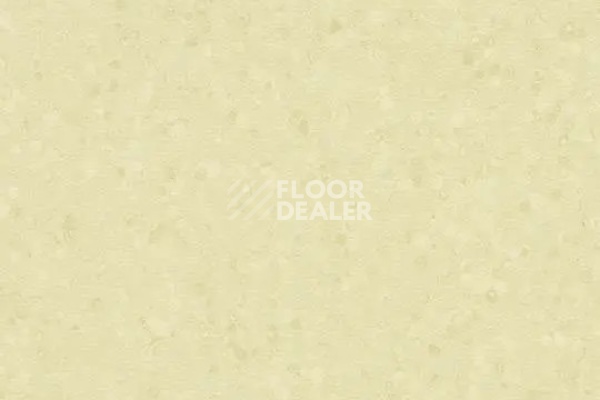 Линолеум Forbo Sphera Element 50063 white moss фото 1 | FLOORDEALER