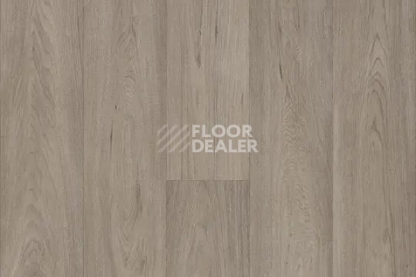 Линолеум Forbo Eternal Original 68962 grey oak фото 1 | FLOORDEALER