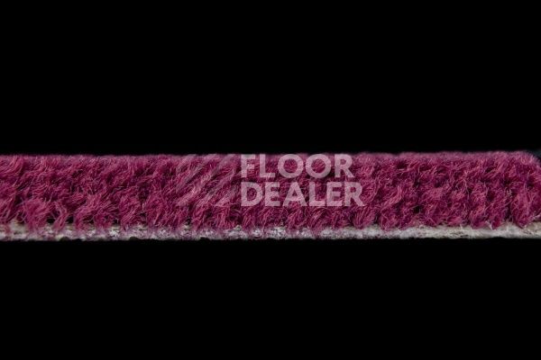 Ковролин Balsan Les Best S 599 фото 2 | FLOORDEALER