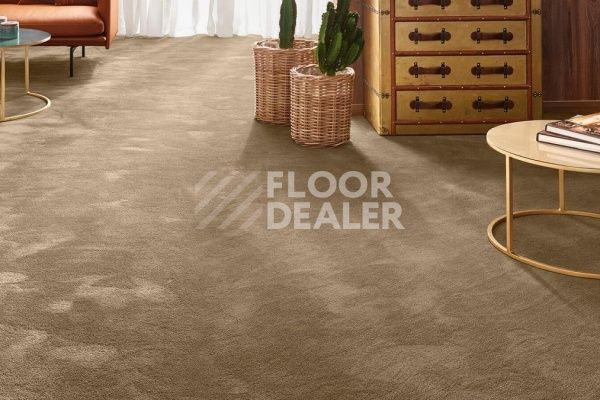 Ковролин Vorwerk Exclusive 1060/Safira 7G63 фото 1 | FLOORDEALER