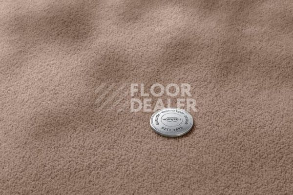 Ковролин Vorwerk Superior 1069/Hermelin 8K30 фото 1 | FLOORDEALER