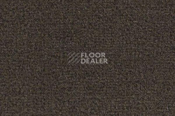 Ковролин Balsan Les Greens Confort+ 795 фото 1 | FLOORDEALER