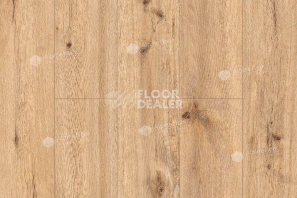 Плитка ПВХ Alpine Floor by Classen Pro Nature 4мм Oak Poprad 64634 фото 1 | FLOORDEALER