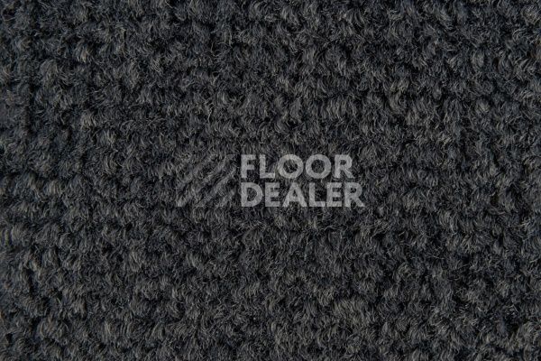 Ковролин Balsan Les Best S 993 фото 1 | FLOORDEALER