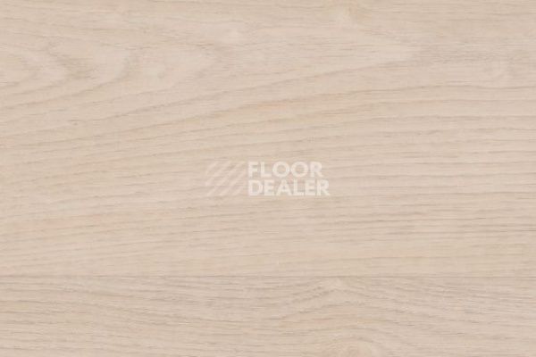 Линолеум Taralay Initial Compact (wood) 0797 Habana Ivory фото 1 | FLOORDEALER