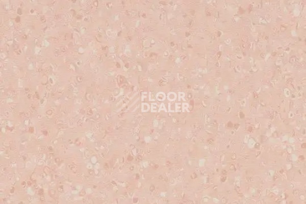 Линолеум Forbo Sphera Element 51073 Contrast peach фото 1 | FLOORDEALER