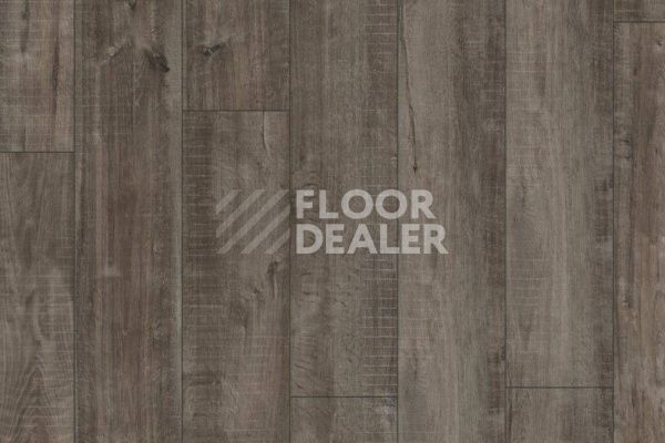 Ламинат Kronotex Exquisit Plus d4785 Дуб Гала Титан фото 6 | FLOORDEALER