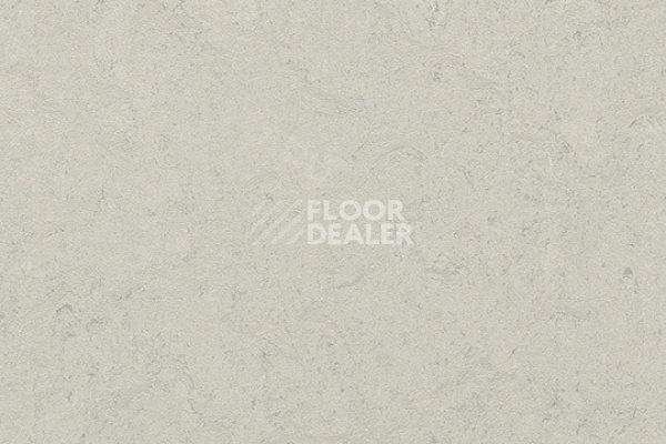 Линолеум Marmoleum Decibel 386035 silver shadow фото 1 | FLOORDEALER