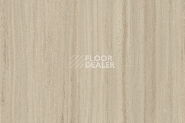 Линолеум Marmoleum Striato 5232 rocky ice фото 1 | FLOORDEALER