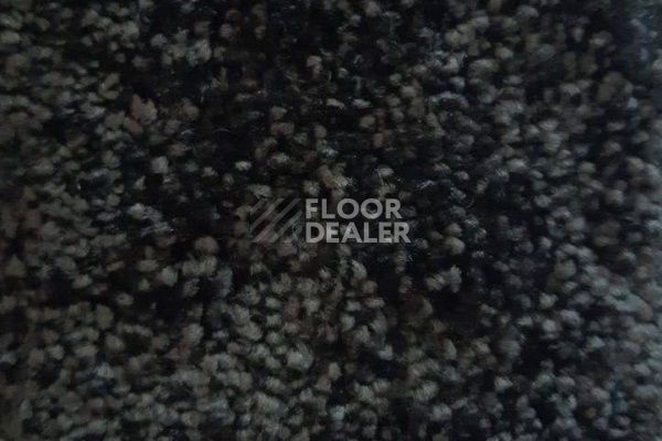 Ковролин CONDOR Carpets Dynasty 93 фото 1 | FLOORDEALER