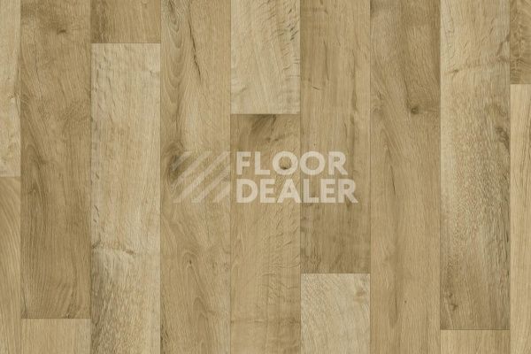 Линолеум TARKETT PHILOSOPHY Gea 5 фото 1 | FLOORDEALER