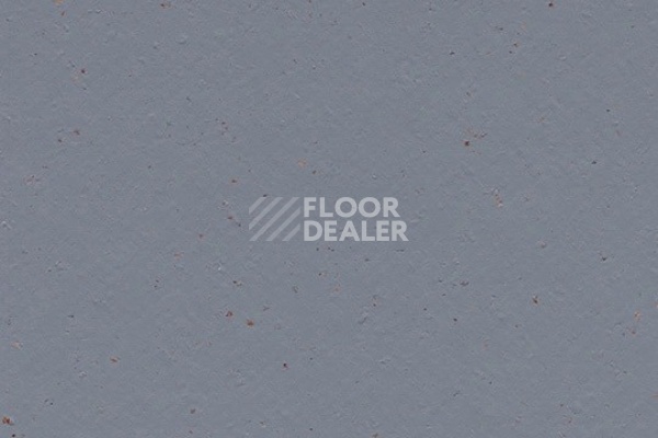 Линолеум Marmoleum Solid Cocoa 3586 indigo milk фото 1 | FLOORDEALER