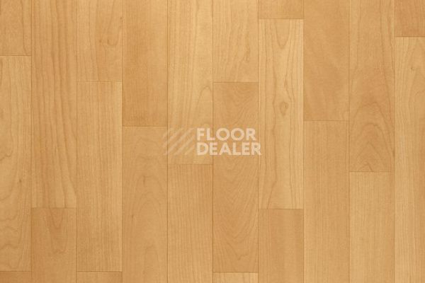 Линолеум Grabo Terrana Top Extra 4121-253 фото 1 | FLOORDEALER