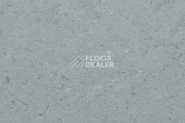 Линолеум Marmorette DLV 0055 Ash Grey фото 1 | FLOORDEALER