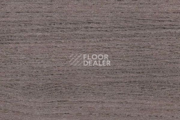 Линолеум Taralay Initial Compact (wood) 0590 Renzo Steel фото 1 | FLOORDEALER