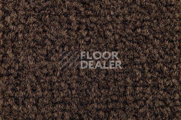 Ковролин Balsan Les Best S 695 фото 1 | FLOORDEALER