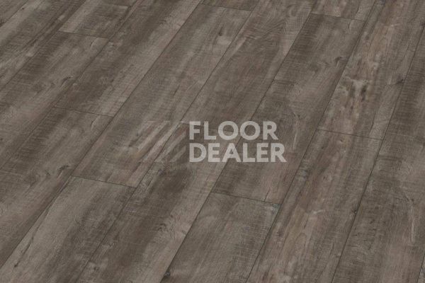 Ламинат Kronotex Exquisit Plus d4785 Дуб Гала Титан фото 1 | FLOORDEALER