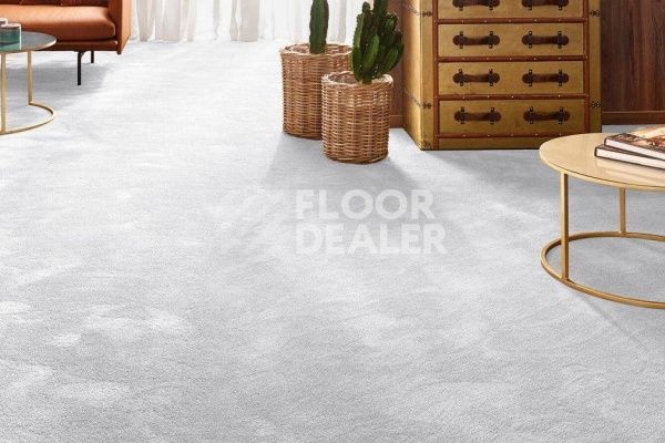 Ковролин Vorwerk Exclusive 1060/Safira 5X58 фото 1 | FLOORDEALER