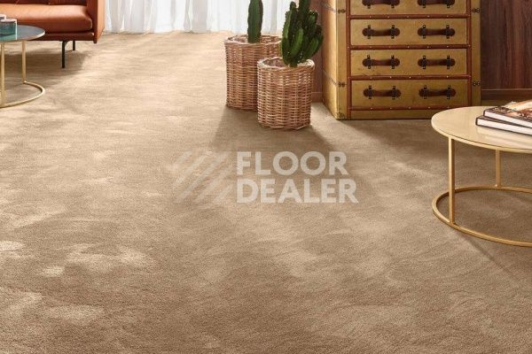 Ковролин Vorwerk Exclusive 1060/Safira 7G61 фото 1 | FLOORDEALER