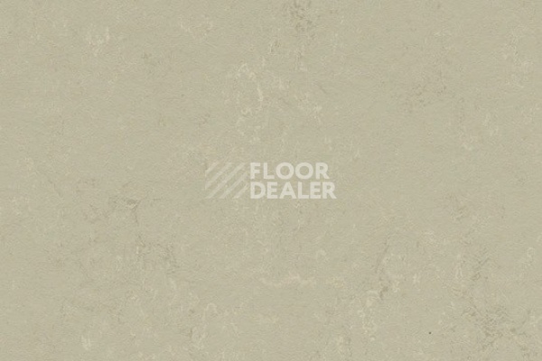 Линолеум Marmoleum Decibel on Order 375835 shale фото 1 | FLOORDEALER