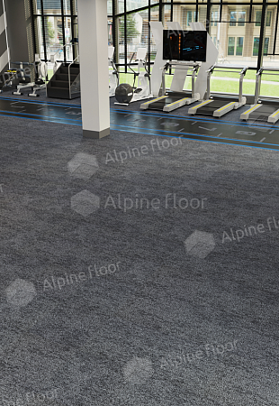 Alpine Floor Astoria