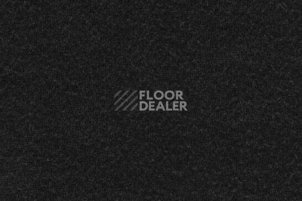 Линолеум Marmoleum Decibel on Order 332335 black фото 1 | FLOORDEALER