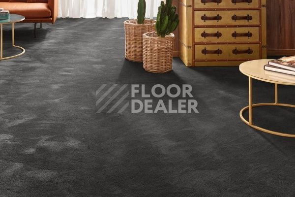 Ковролин VORWERK Exclusive 1060/Safira 9D78 фото 1 | FLOORDEALER