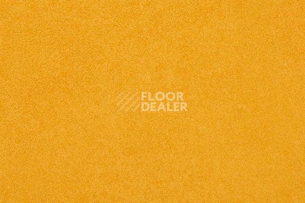 Линолеум Taralay Initial Compact (Plain & allover look) 0952 Miami Soleil  фото 1 | FLOORDEALER