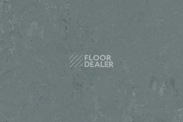 Линолеум Marmoleum Decibel on Order 375635 Neptune фото 1 | FLOORDEALER