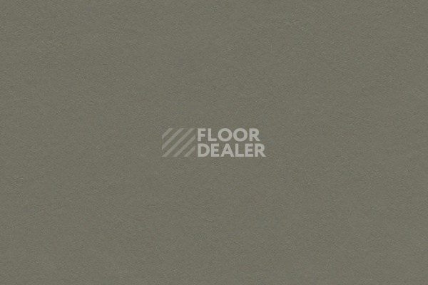 Линолеум Marmoleum Decibel on Order 337535 grey adobe фото 1 | FLOORDEALER