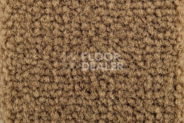 Ковролин Balsan Les Best S 775 фото 1 | FLOORDEALER