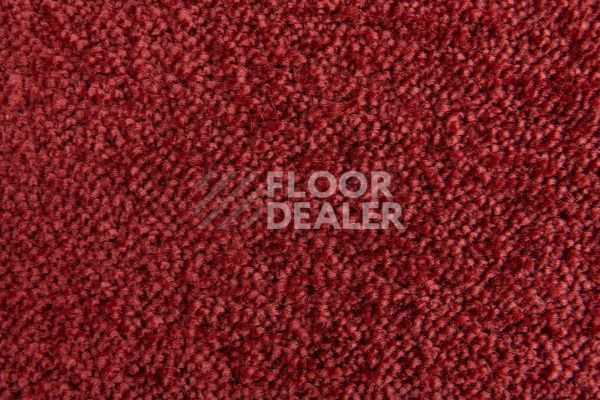 Ковролин Lano Sense Pure 446 фото 2 | FLOORDEALER