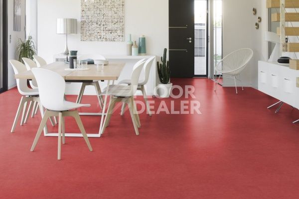 Линолеум Taralay Initial Compact (Plain & allover look) 0951 Miami Litchee фото 1 | FLOORDEALER