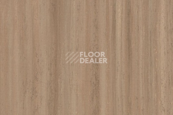 Линолеум Marmoleum Striato 5217 withered prairie фото 1 | FLOORDEALER