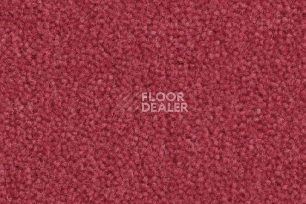 Ковролин Balsan Majestic 555 фото 1 | FLOORDEALER