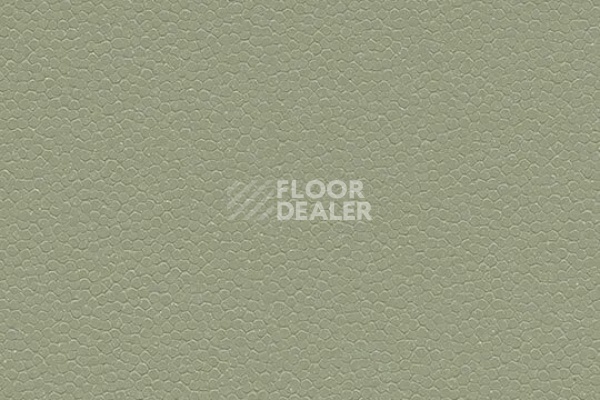 Линолеум FORBO SafeStep Aqua 180742 sage фото 1 | FLOORDEALER