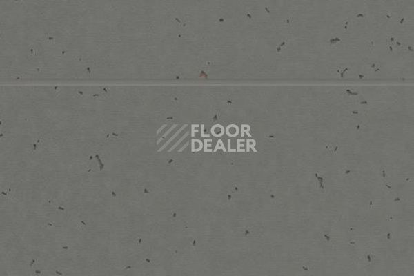 Линолеум Forbo Sphera Energetic 50215 ebony фото 1 | FLOORDEALER