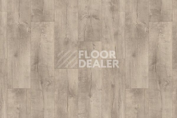 Линолеум TARKETT GLADIATOR MIELE 2 фото 1 | FLOORDEALER