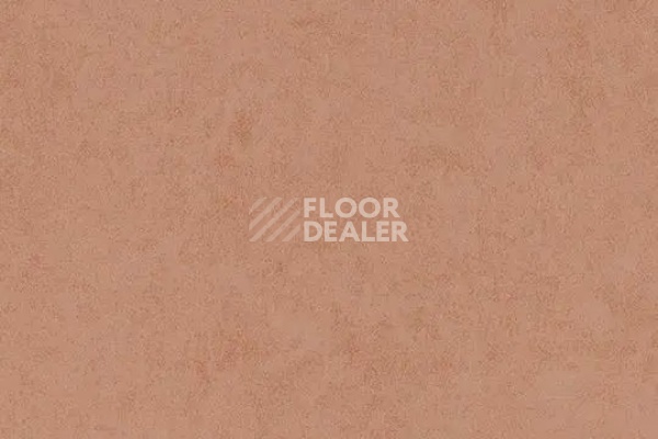 Линолеум Forbo Eternal Original 68762 papaya фото 1 | FLOORDEALER