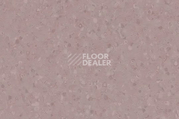 Линолеум Forbo Sphera Element 50071 violet фото 1 | FLOORDEALER