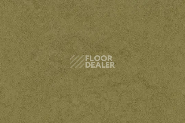 Линолеум FORBO Eternal Original 68722 olive фото 1 | FLOORDEALER