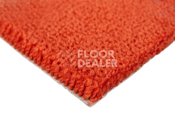 Ковролин Balsan Les Best S 470 фото 2 | FLOORDEALER