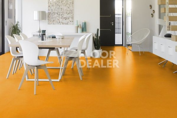 Линолеум Taralay Initial Compact (Plain & allover look) 0952 Miami Soleil  фото 1 | FLOORDEALER