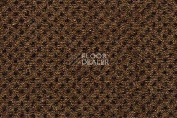 Ковролин CONDOR Carpets Nile 123 фото 1 | FLOORDEALER