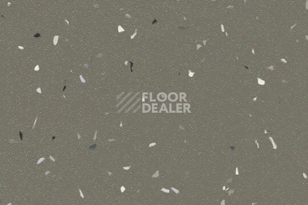 Линолеум Forbo SureStep Star 176872 earth фото 1 | FLOORDEALER