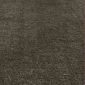 Ковролин Jacaranda Carpets Simla Fern фото  | FLOORDEALER