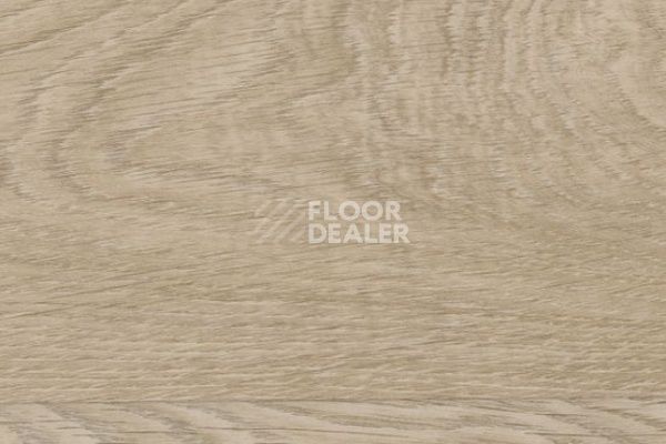 Линолеум Taralay Initial Compact (wood) 0828 Habana Beige фото 1 | FLOORDEALER