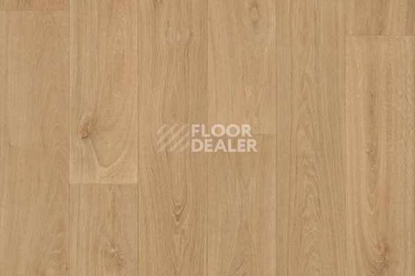 Линолеум FORBO Modul'up Compact Wood 8483UP43C Scandinavian oak фото 1 | FLOORDEALER