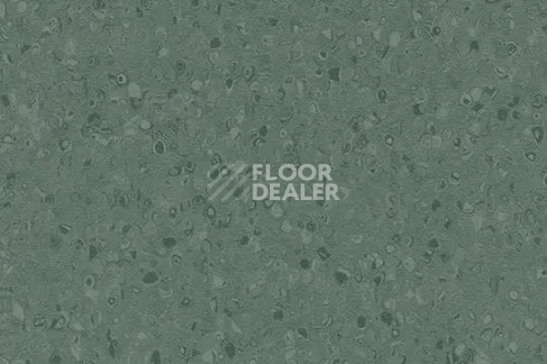 Линолеум Forbo Sphera Element 50078 dark kelp фото 1 | FLOORDEALER